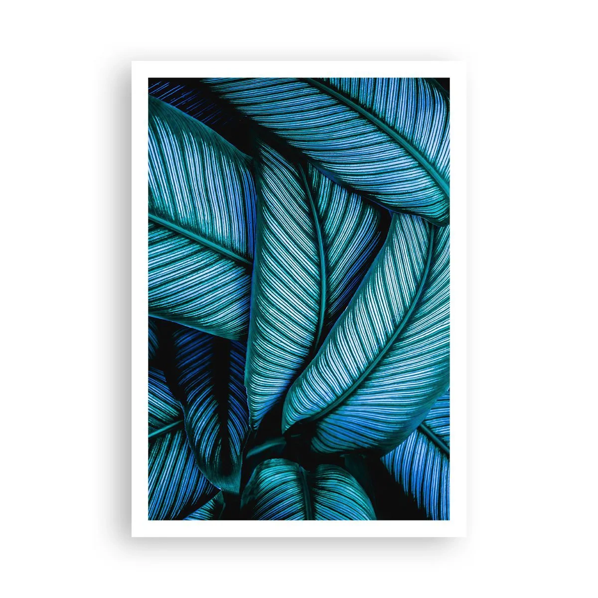 Poster - Le linee della vita - 70x100 cm
