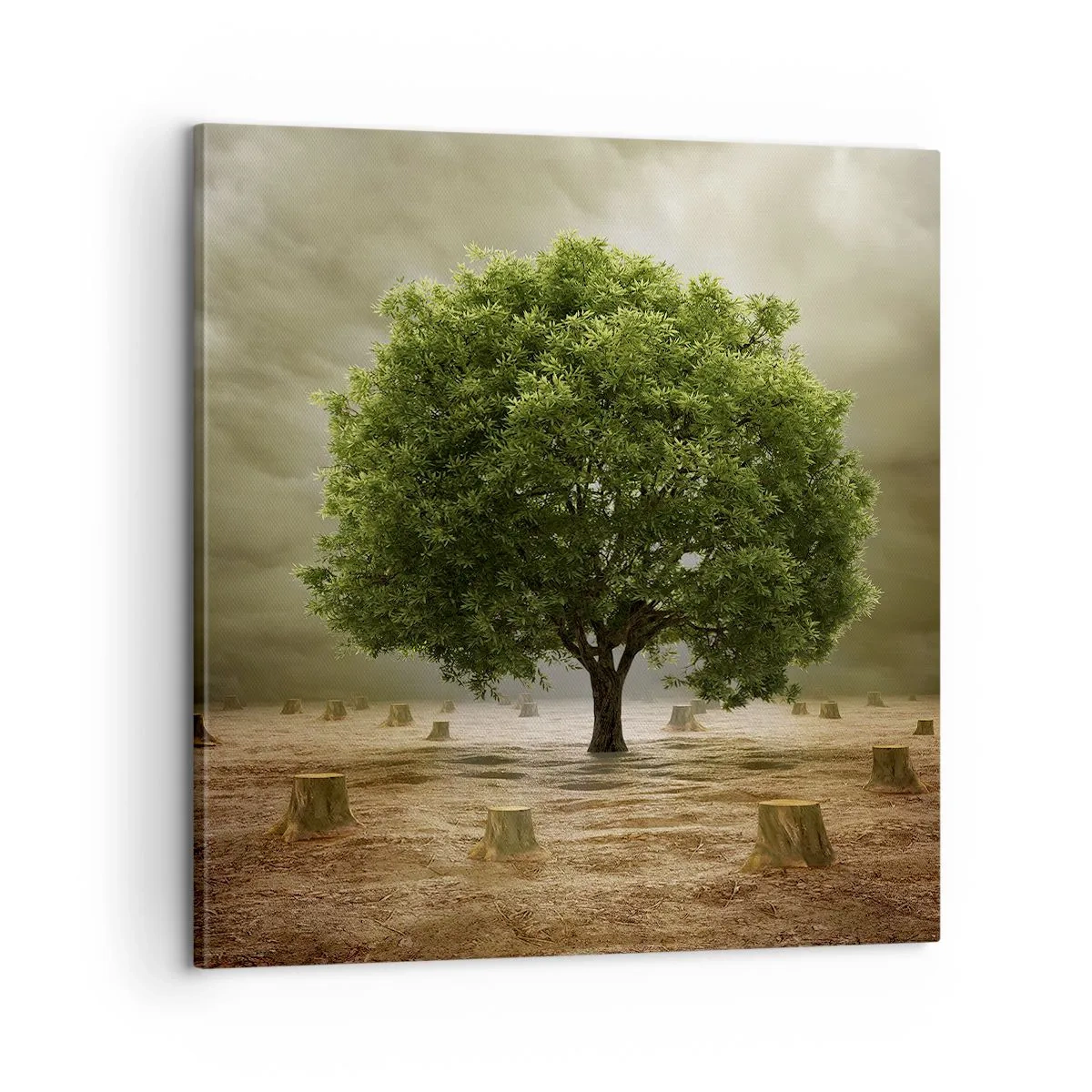 Quadro su tela - Stampe su Tela - Ogni speranza - 60x60 cm