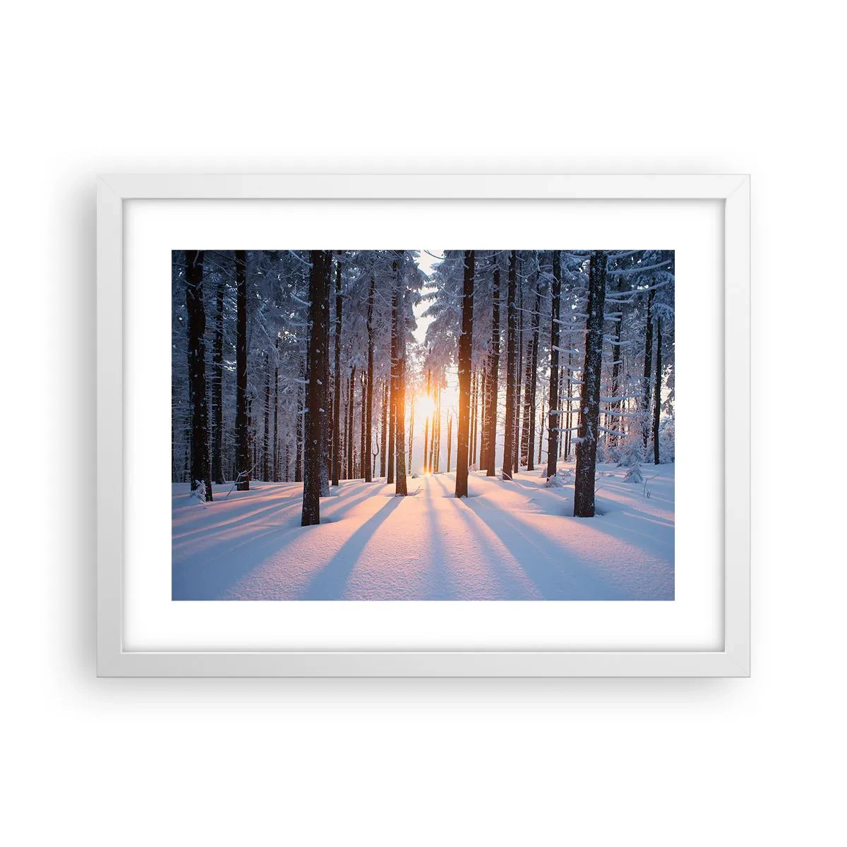 Poster in cornice bianca - Decisamente nero su bianco - 40x30 cm