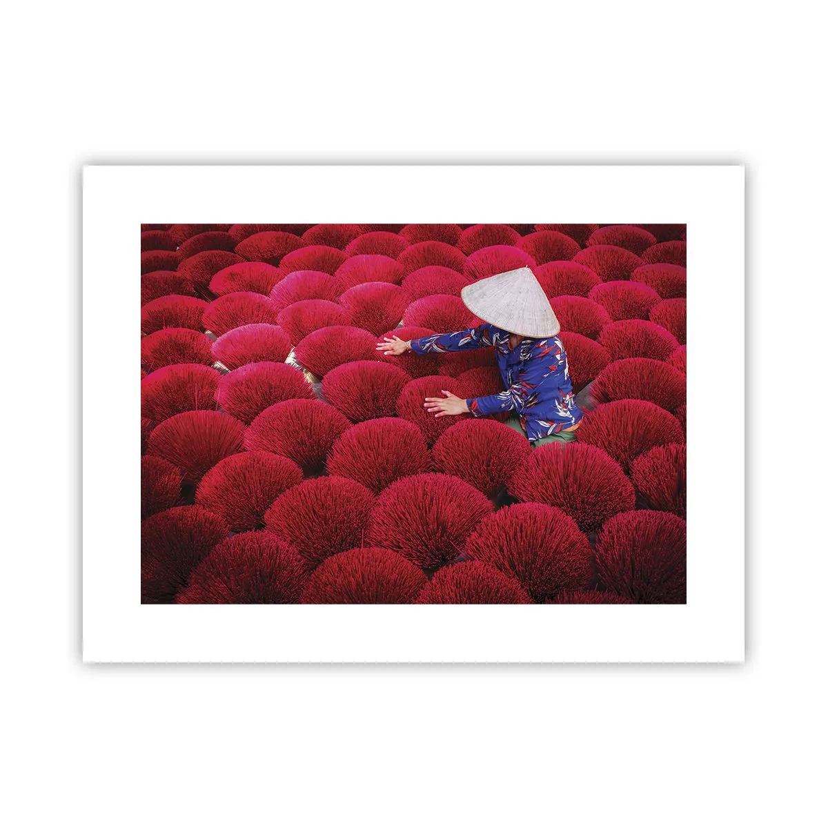 Poster - Nel campo di riso - 40x30 cm