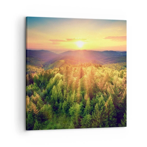 Quadro su tela - Stampe su Tela - Vette e cime - 60x60 cm