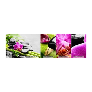 Campione di Fotomurale Adesivo Deluxe Sticker - Un tranquillo equilibrio - Fiori, Orchidea, Orchidea - 100x30 cm