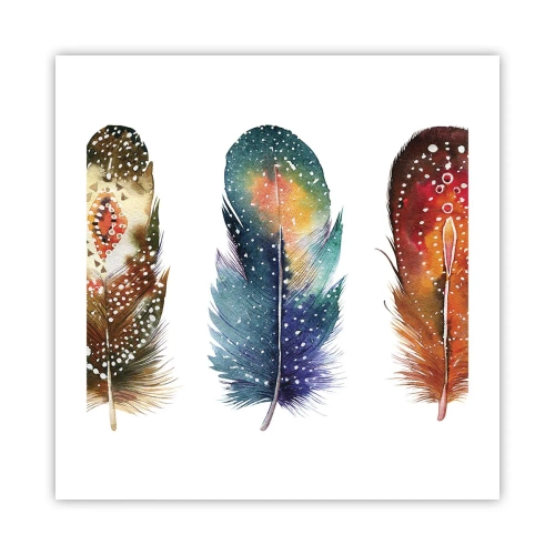 Poster - Cerimonie, riti, misteri - 50x50 cm