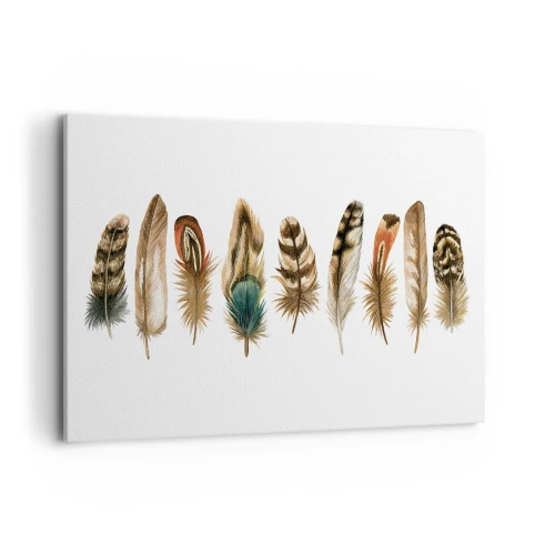 Quadro su tela - Stampe su Tela - Motivo decorativo di una raccolta di piume varie - 120x80cm - Composizione di piume - Decorazione murale moderna per soggiorno e camera da letto ARTTOR