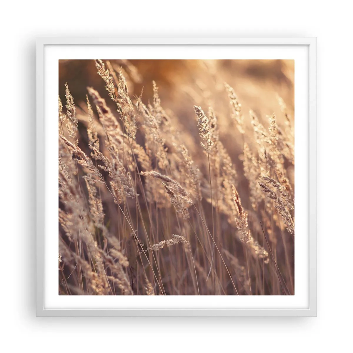 Poster in cornice bianca - Pronti a salutare l'autunno - 60x60 cm