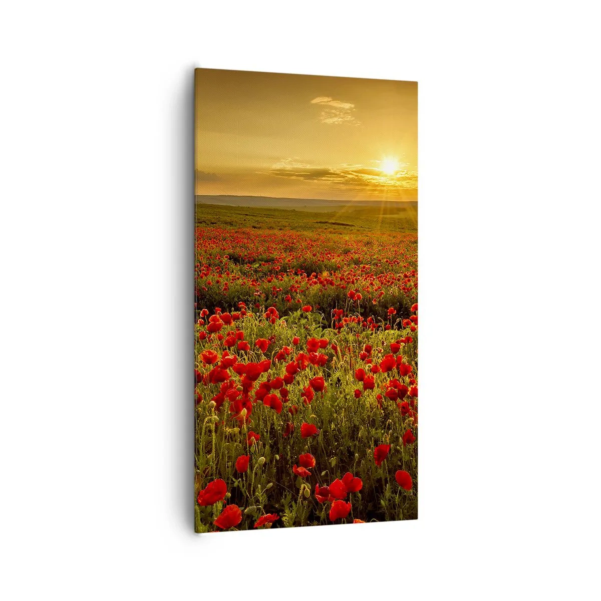 Quadro su tela - Stampe su Tela - Tra il fruscio delle erbe, in un'esplosione di fiori - 65x120 cm