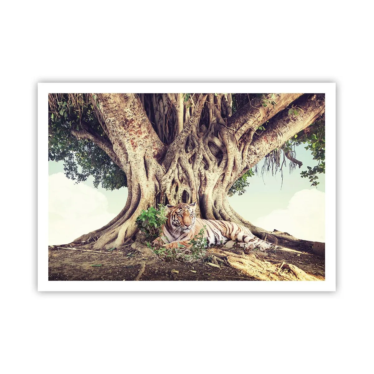 Poster - Una tigre che riposa sotto un albero che si estende - 100x70cm - Vista dal Libro della Genesi - Decorazione murale moderna per soggiorno e camera da letto ARTTOR