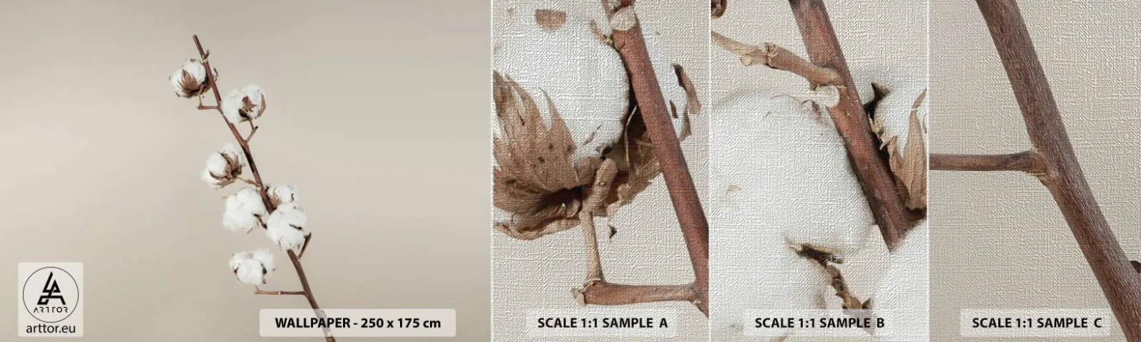 Campione di Fotomurale Premium Canvas - Alla fonte della morbidezza - Fiore di cotone, Natura, cotone - 100x30 cm