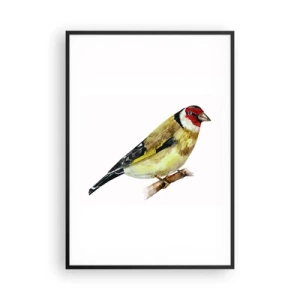 Poster in cornice nera - Ritratto di uccello - 70x100 cm