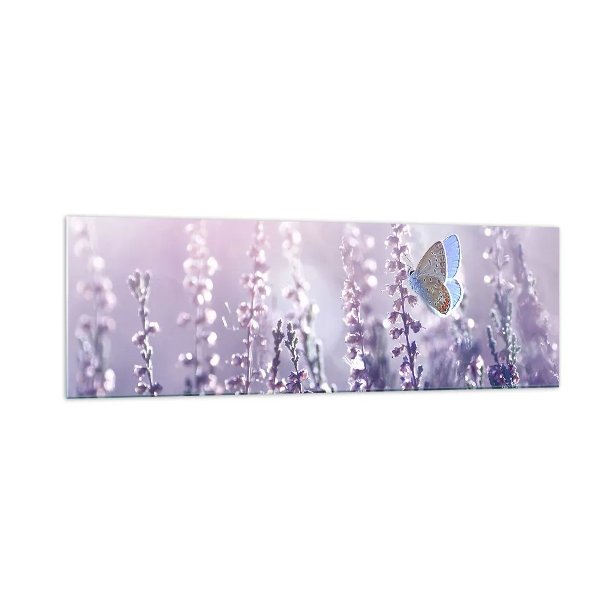 Quadro su vetro - Una farfalla sulla lavanda in fiore nella luce del mattino - 160x50cm - Il bacio della farfalla - Decorazione murale moderna per soggiorno e camera da letto ARTTOR