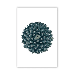 Poster - La stella del deserto - 61x91 cm