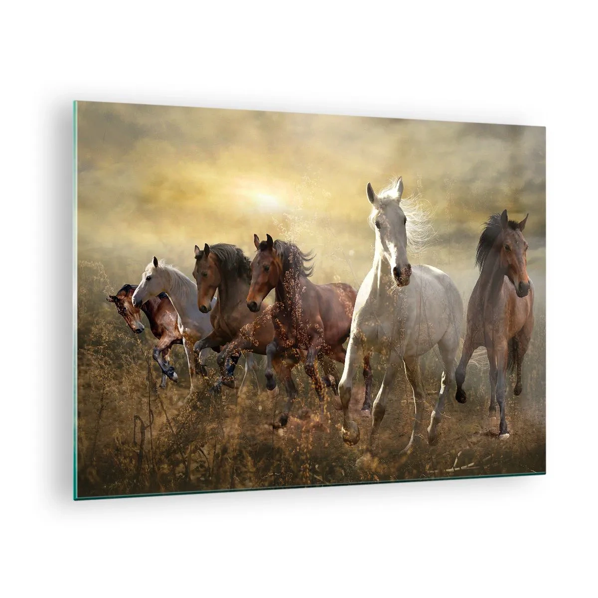 Quadro su vetro - Una mandria di cavalli al galoppo sotto i raggi del sole al tramonto - 70x50cm - Evviva la libertà! - Decorazione murale moderna per soggiorno e camera da letto ARTTOR