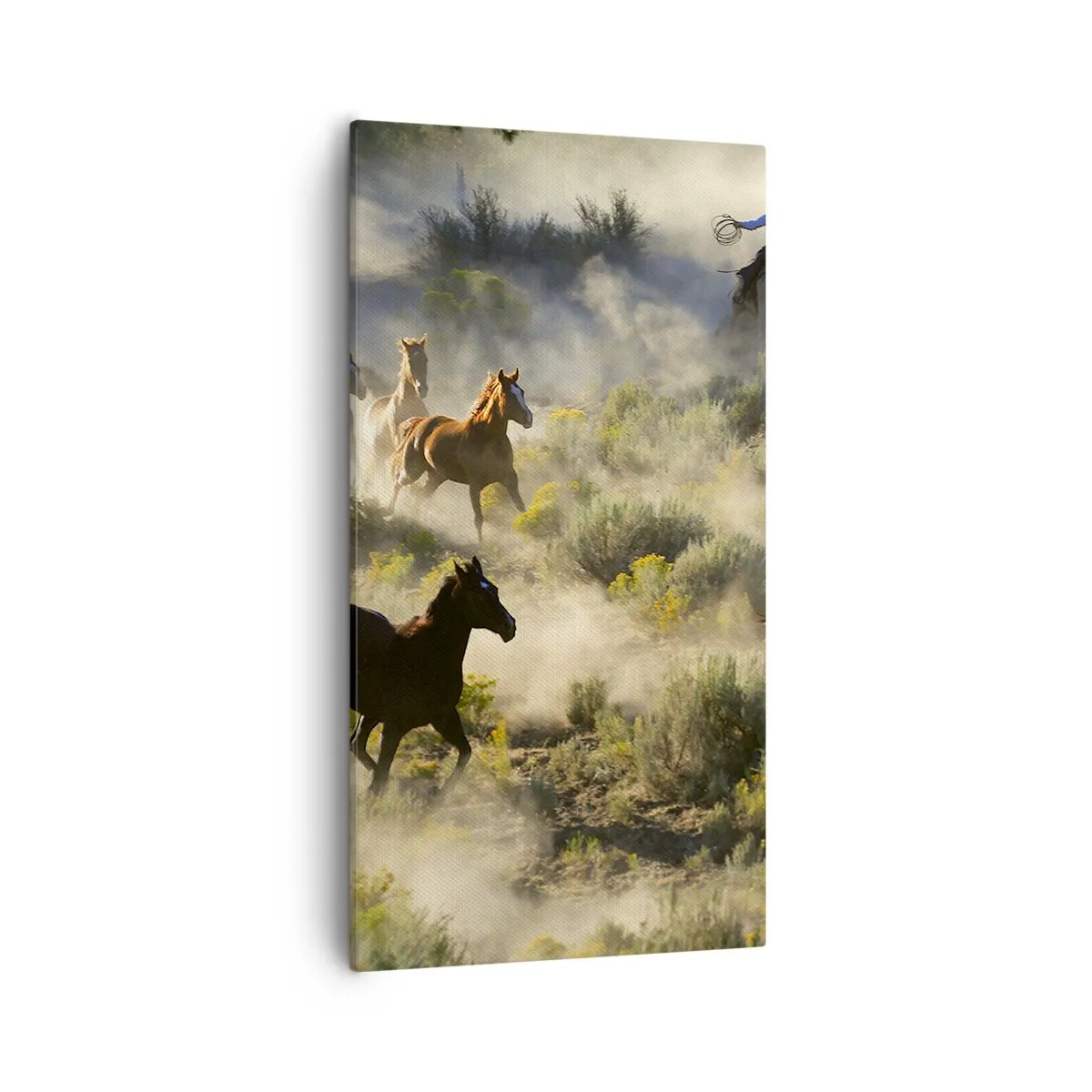 Quadro su tela - Stampe su Tela - Rivalità: libertà o forza mascolina? - 55x100 cm