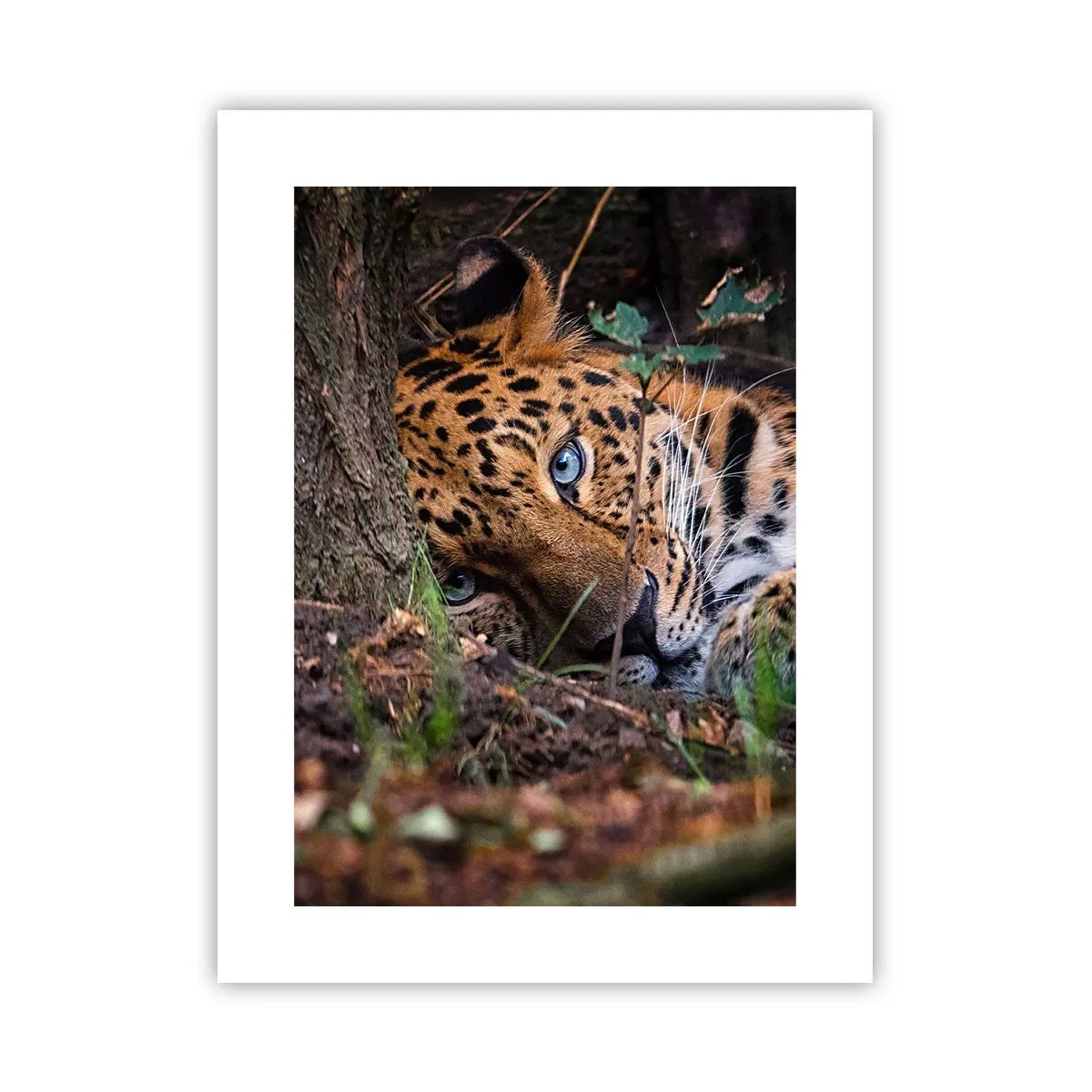 Poster - Fidati di me - 30x40 cm