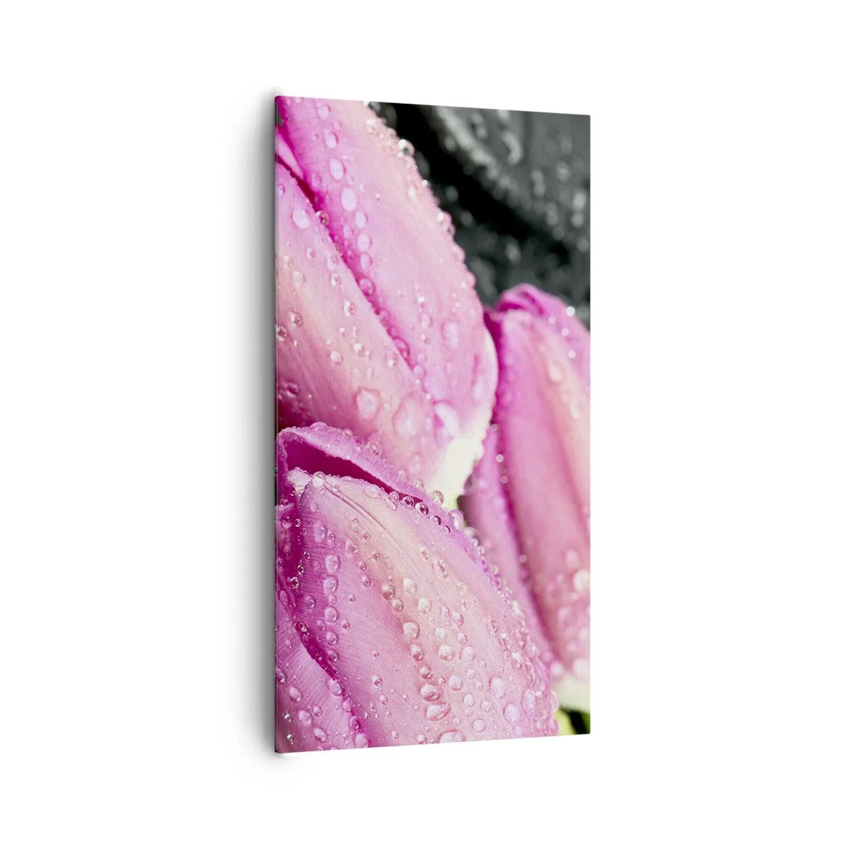 Quadro su tela - Stampe su Tela - Una terna lilla su pietra nera - 65x120 cm