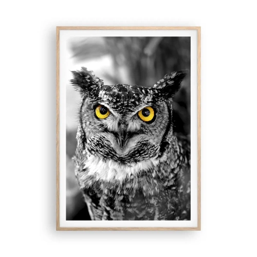 Poster in cornice rovere chiaro - Non si può nascondere niente - 70x100 cm