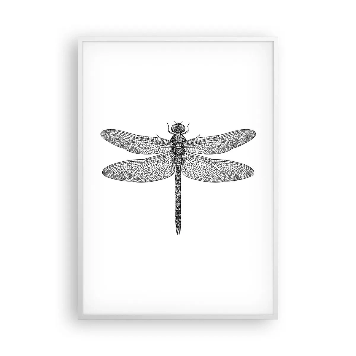 Poster in cornice bianca - La precisione della natura - 70x100 cm