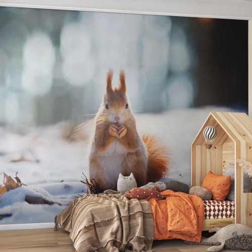 Fotomurali Premium Canvas - Che cosa guardi? - Animali, Scoiattolo, Inverno - 250x175 cm