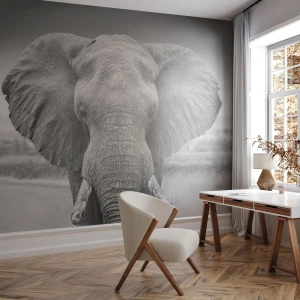 Fotomurali Premium Sand - Ritratto in bianco e nero di un elefante africano su uno sfondo di savana - 100x70cm - Benvenuti nel mio mondo - Decorazione murale moderna per soggiorno e camera da letto ARTTOR