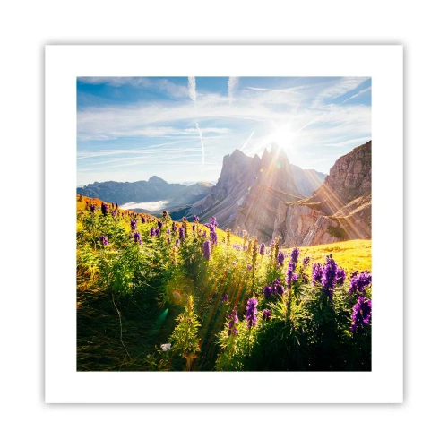 Poster - La vita segreta delle erbe - 40x40 cm