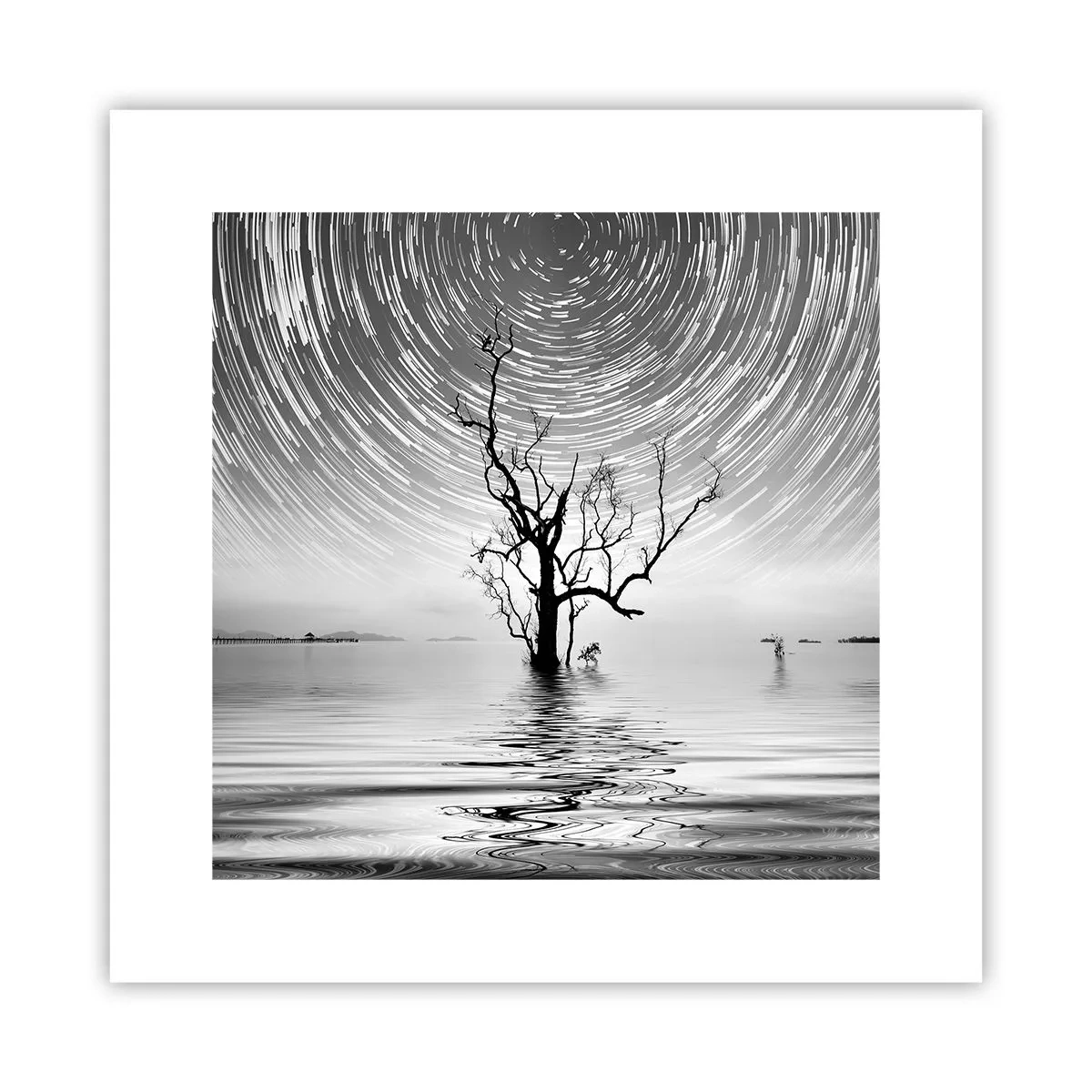 Poster - Sinfonia della natura - 30x30 cm