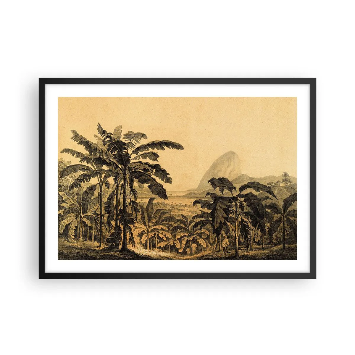 Poster in cornice nera - Disegno di alberi di banana su uno sfondo di paesaggio tropicale - 70x50cm - Nel clima coloniale - Decorazione murale moderna per soggiorno e camera da letto ARTTOR