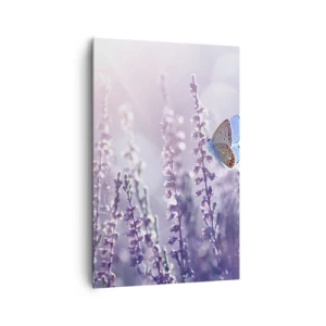 Quadro su tela - Stampe su Tela - Una farfalla sulla lavanda in fiore nella luce del mattino - 80x120cm - Il bacio della farfalla - Decorazione murale moderna per soggiorno e camera da letto ARTTOR