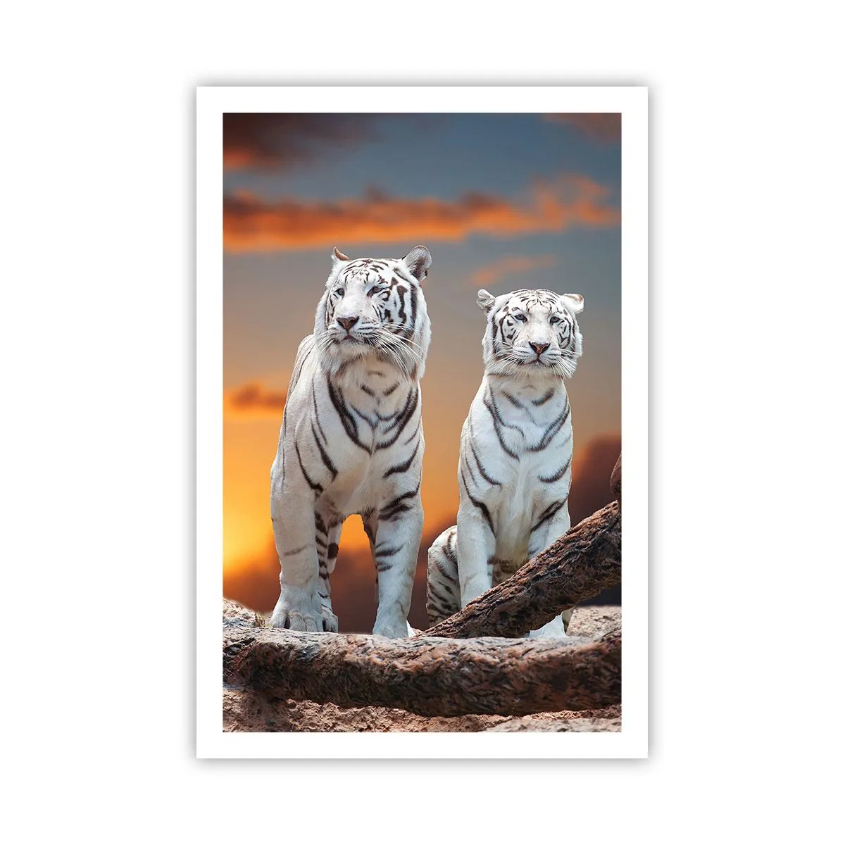 Poster - Proprio come a Narnia - 61x91 cm