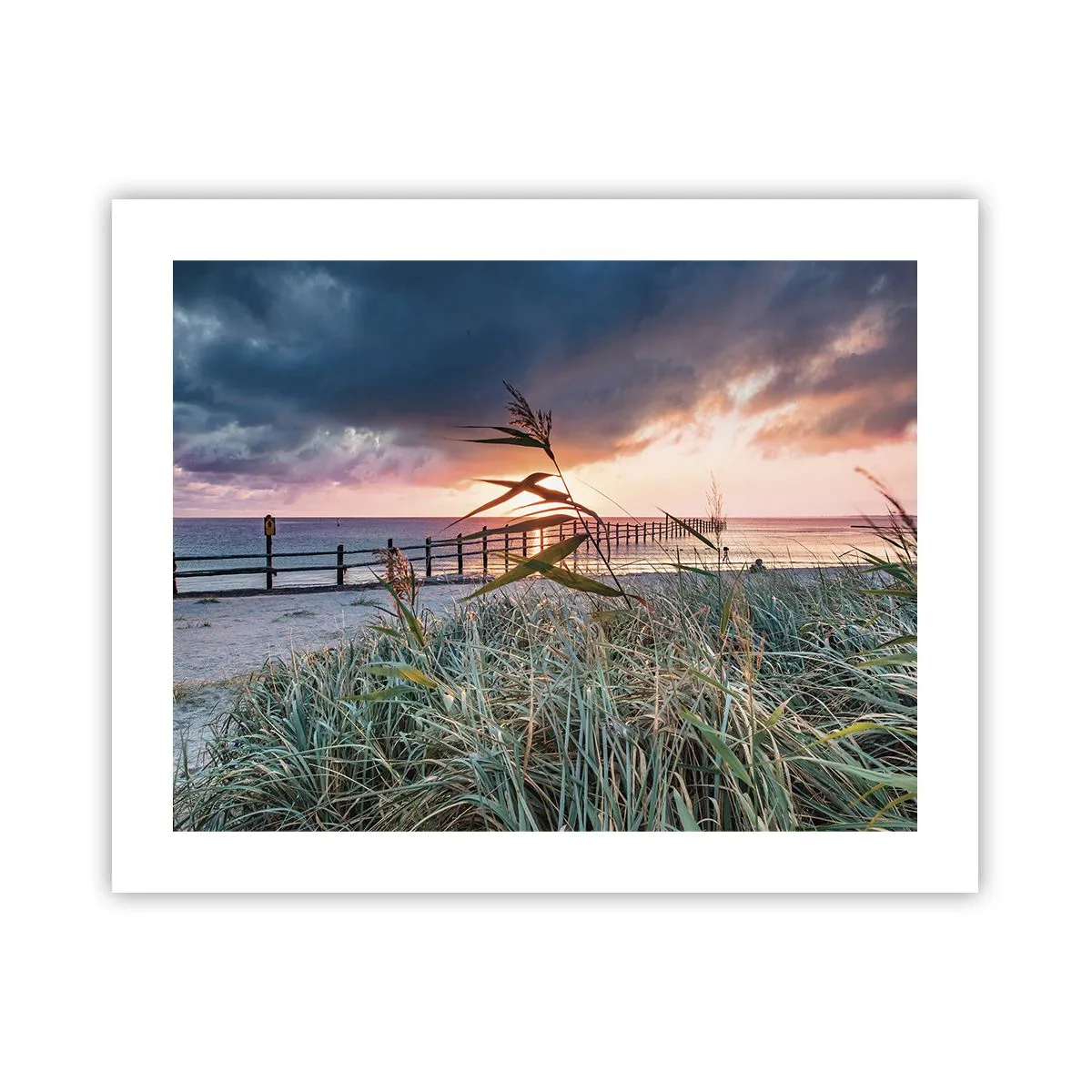 Poster - Non andrà via col vento - 50x40 cm