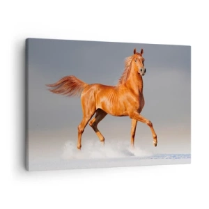 Quadro su tela - Stampe su Tela - Un cavallo al galoppo contro un cielo blu - 70x50cm - Grazia danzante - Decorazione murale moderna per soggiorno e camera da letto ARTTOR