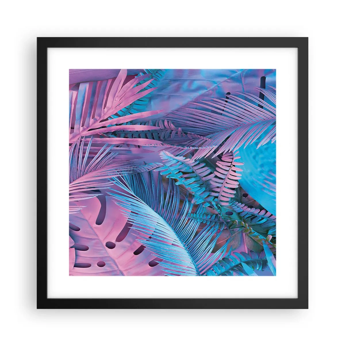 Poster in cornice nera - Tropici in rosa e blu - 40x40 cm