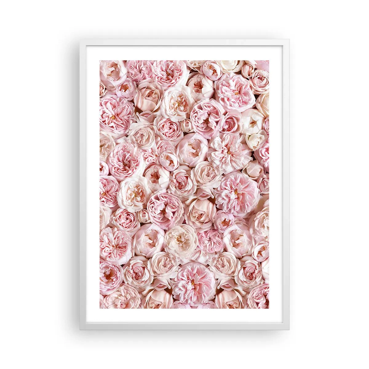 Poster in cornice bianca - Coperto di rose - 50x70 cm