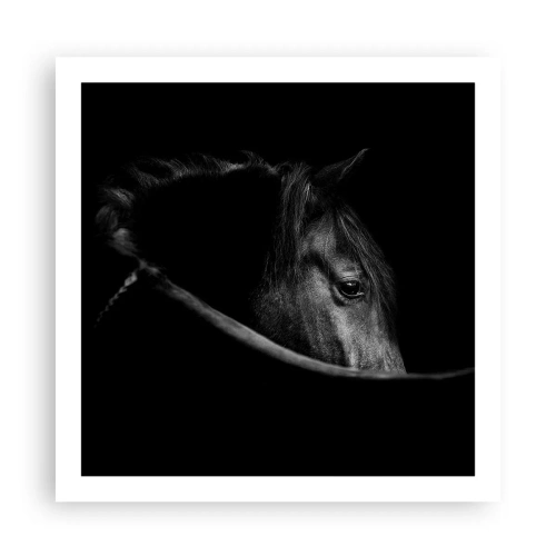 Poster - Il principe nero - 60x60 cm