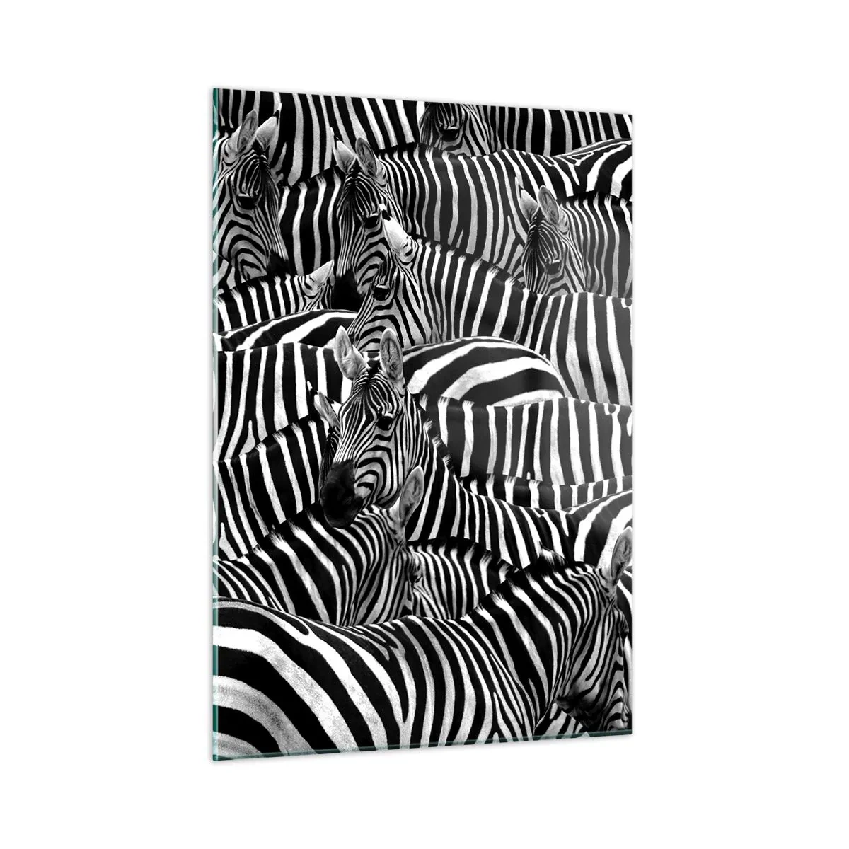 Quadro su vetro - Una mandria di zebre in bianco e nero - 50x70cm - Ritratto collettivo a strisce - Decorazione murale moderna per soggiorno e camera da letto ARTTOR