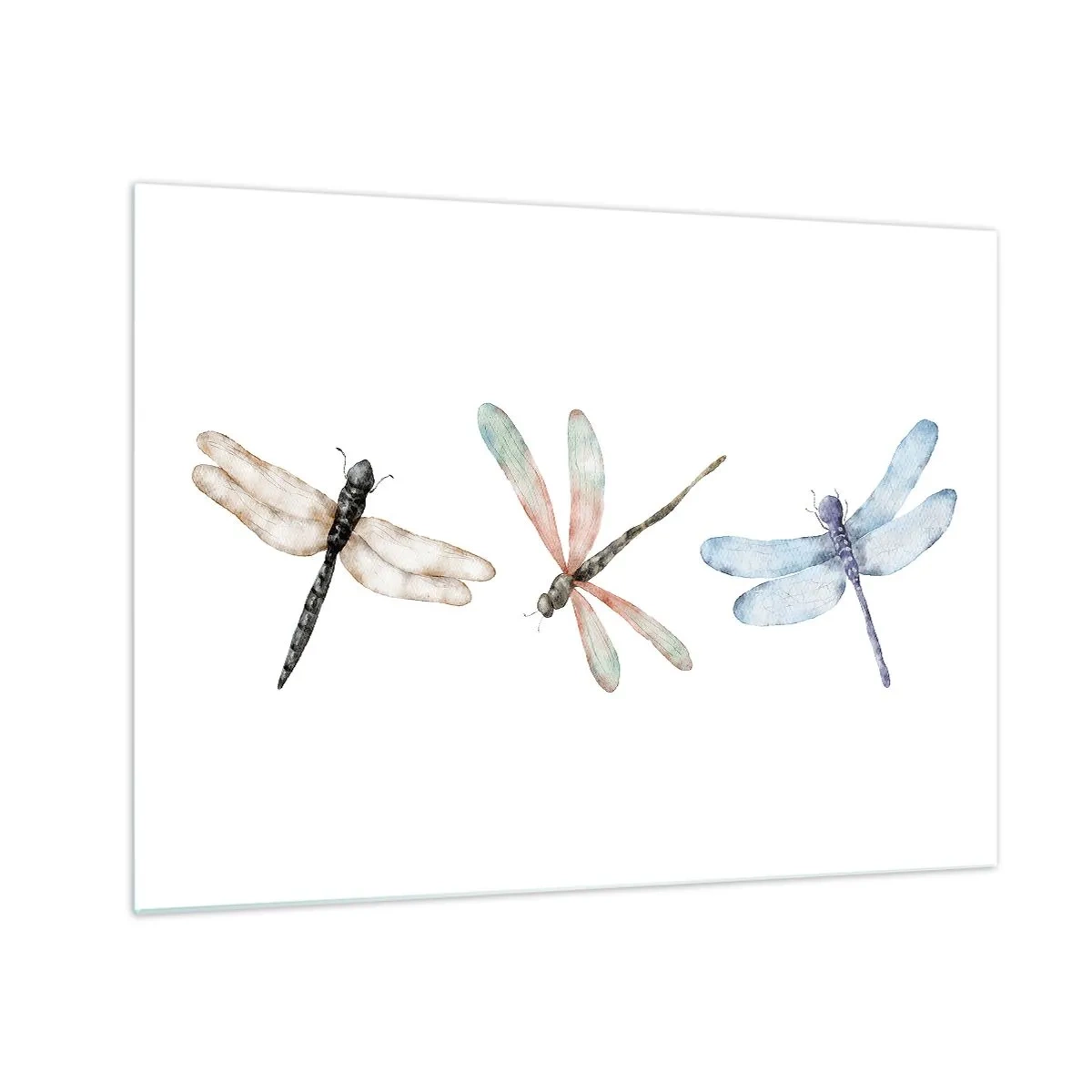 Quadro su vetro - Tre libellule colorate su sfondo bianco in un delicato stile acquerello - 70x50cm - Libellule senza peso - Decorazione murale moderna per soggiorno e camera da letto ARTTOR