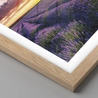 Rovere chiaro