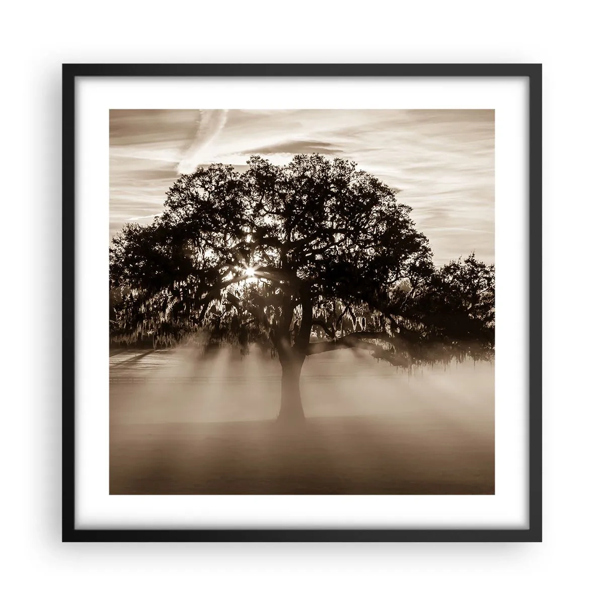 Poster in cornice nera - L'albero delle sole buone notizie - 50x50 cm