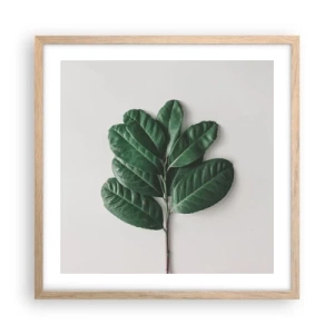 Poster in cornice rovere chiaro - Il disegno della natura stessa - 50x50 cm