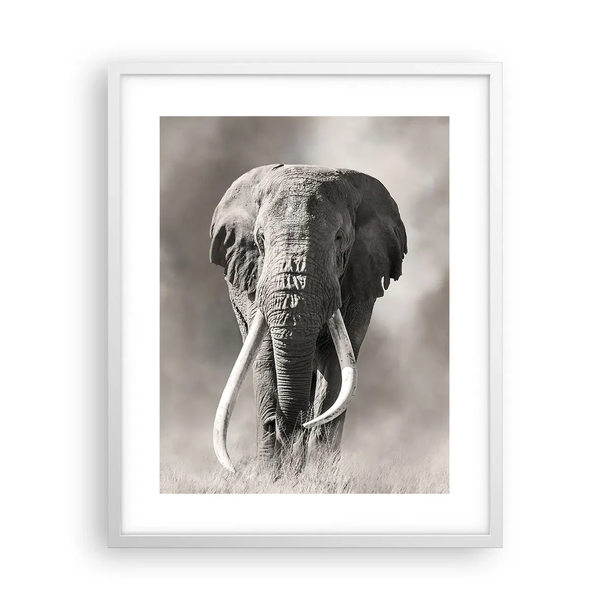 Poster in cornice bianca - Patriarca africano - 40x50 cm