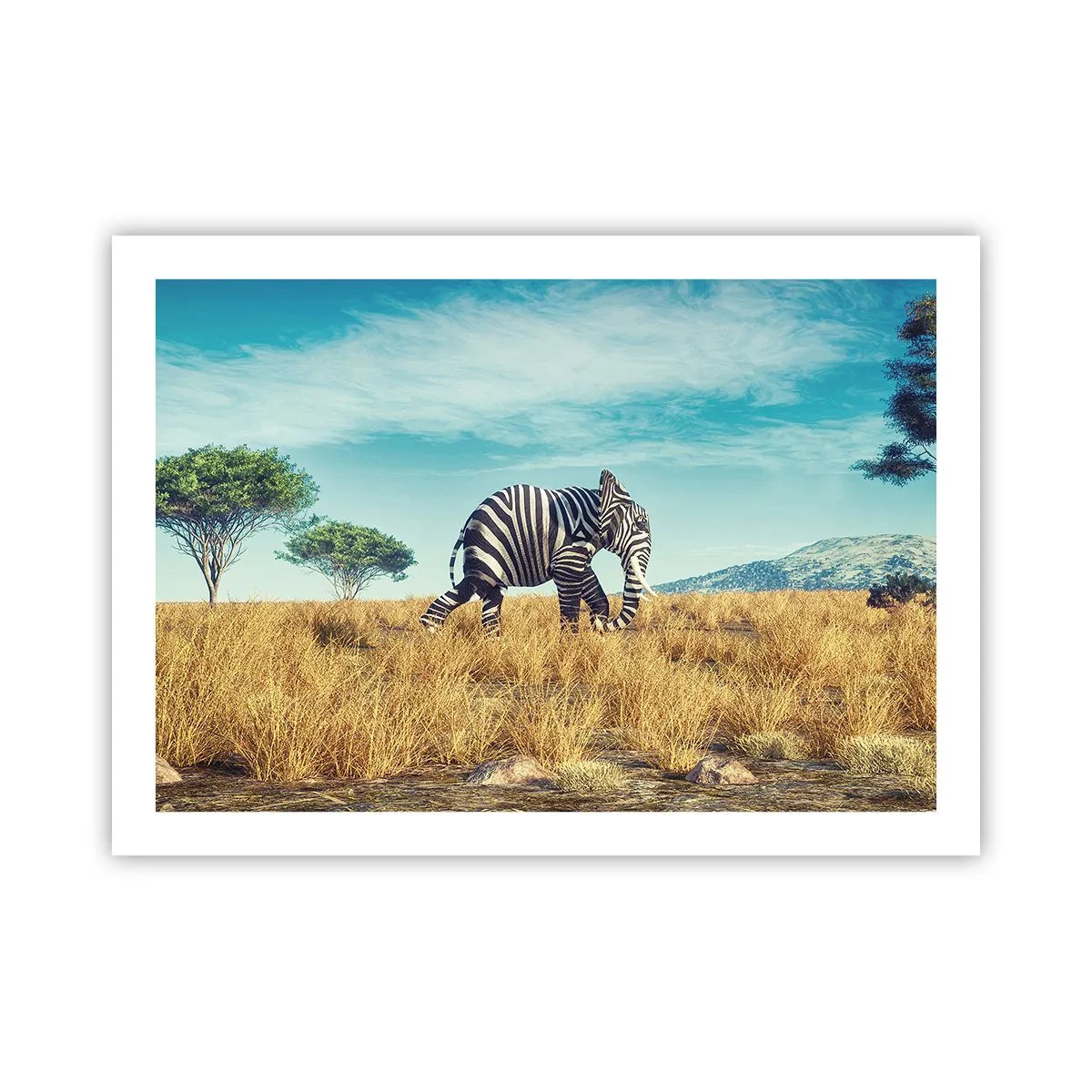 Poster - Il grigio non è più di moda - 70x50 cm