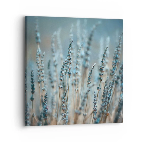 Quadro su tela - Stampe su Tela - Campo profumato - 30x30 cm