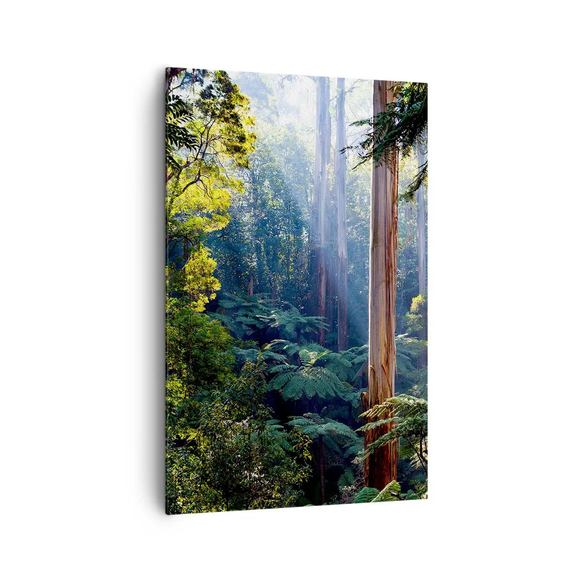 Quadro su tela - Stampe su Tela - Foresta tropicale illuminata dai raggi del sole - 80x120cm - La favola del bosco - Decorazione murale moderna per soggiorno e camera da letto ARTTOR