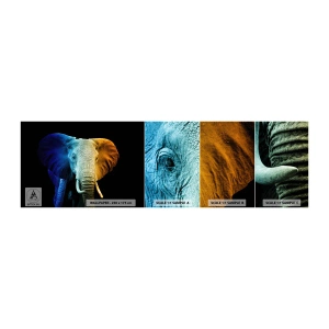 Campione Di Fotomurale Standard Eco - Eccentrico, non strano - Astrazione, Elefante, Animali - 100x30 cm