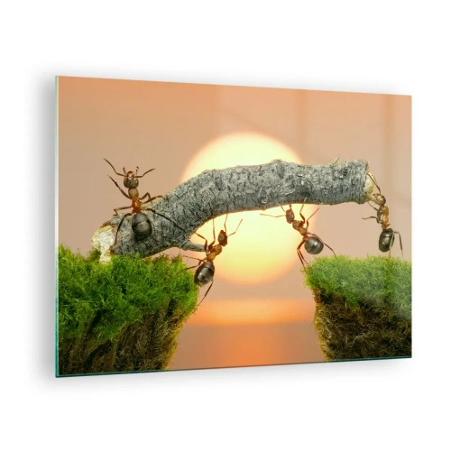 Quadro su vetro - Formiche che costruiscono un ponte al tramonto - 70x50cm - Gioioso lavoro comune - Decorazione murale moderna per soggiorno e camera da letto ARTTOR