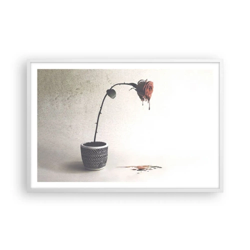 Poster in cornice bianca - Rosa dolorosa - 91x61 cm