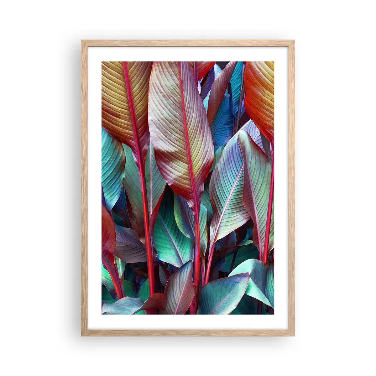 Poster in cornice rovere chiaro - Selva colorata - 50x70 cm