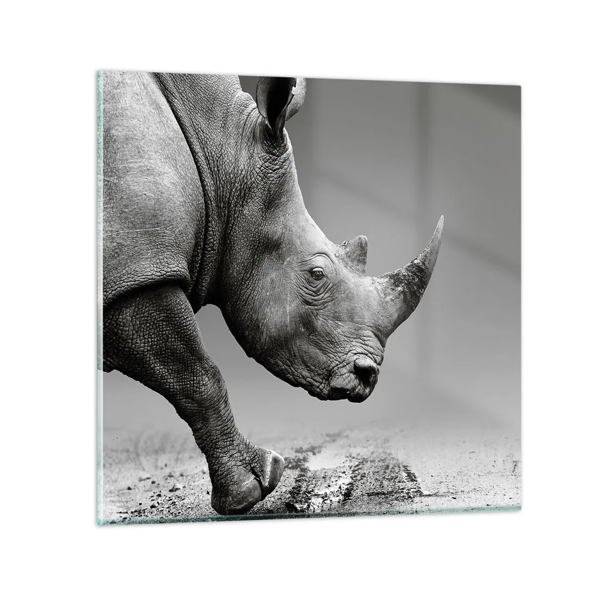 Quadro su vetro - Forza irrefrenabile - 60x60 cm