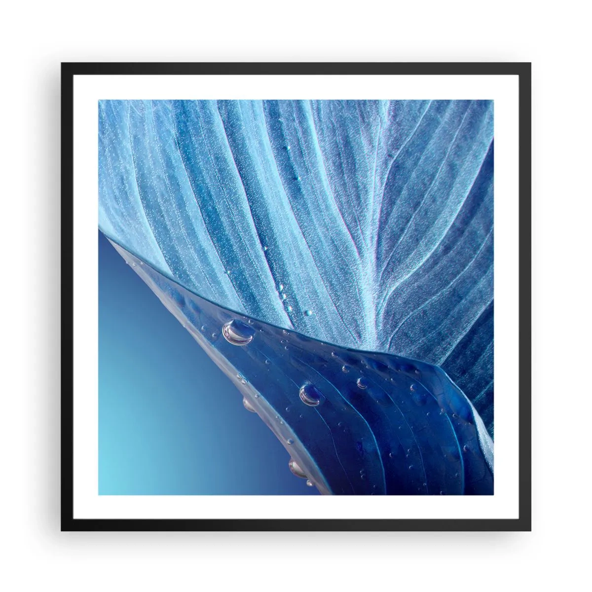 Poster in cornice nera - Gocce di blu nascoste - 60x60 cm