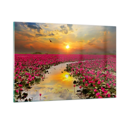 Quadro su vetro - Ninfee rosa su un lago al tramonto - 120x80cm - La vita segreta del lago - Decorazione murale moderna per soggiorno e camera da letto ARTTOR
