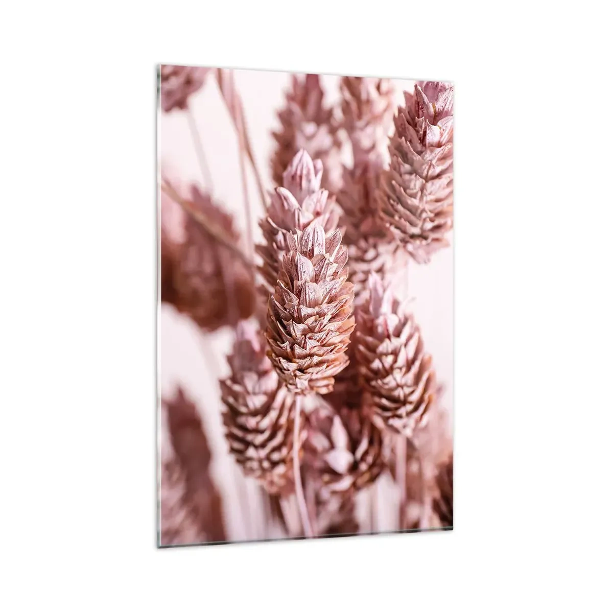 Quadro su vetro - Un primo piano delle delicate spighe rosa delle erbe ornamentali - 80x120cm - A prima vista poco appariscenti - Decorazione murale moderna per soggiorno e camera da letto ARTTOR